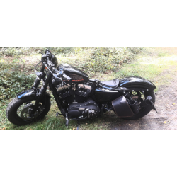 Borsa da moto S89 SKULL H-D Sportster