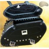 LEATHER SADDLEBAGS S04 FLAME  **TO REQUEST**