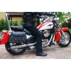 Paramotore CLASSIC  KAWASAKI VN 800 VULCAN